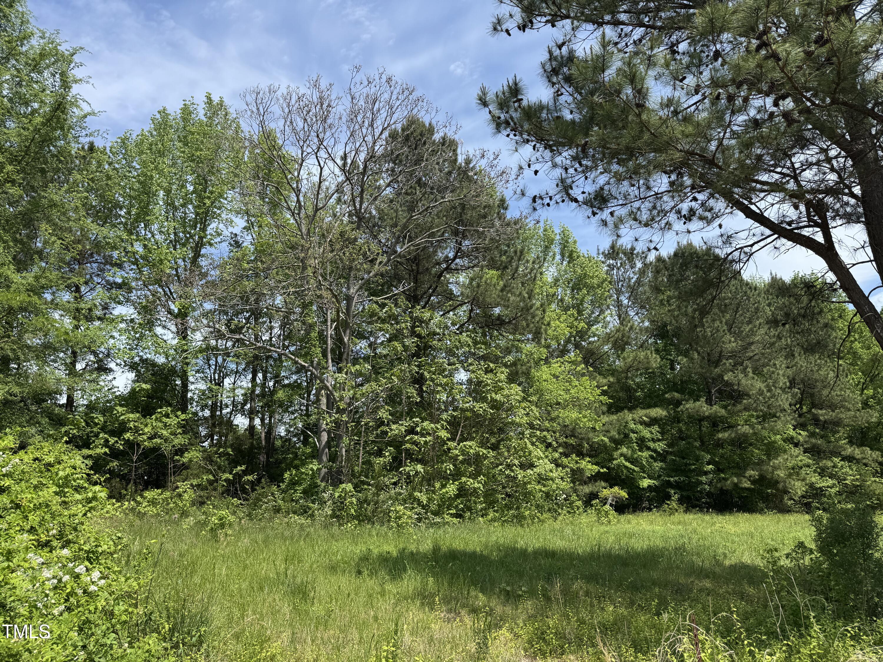 Lot 1 Hillsborough Preserve