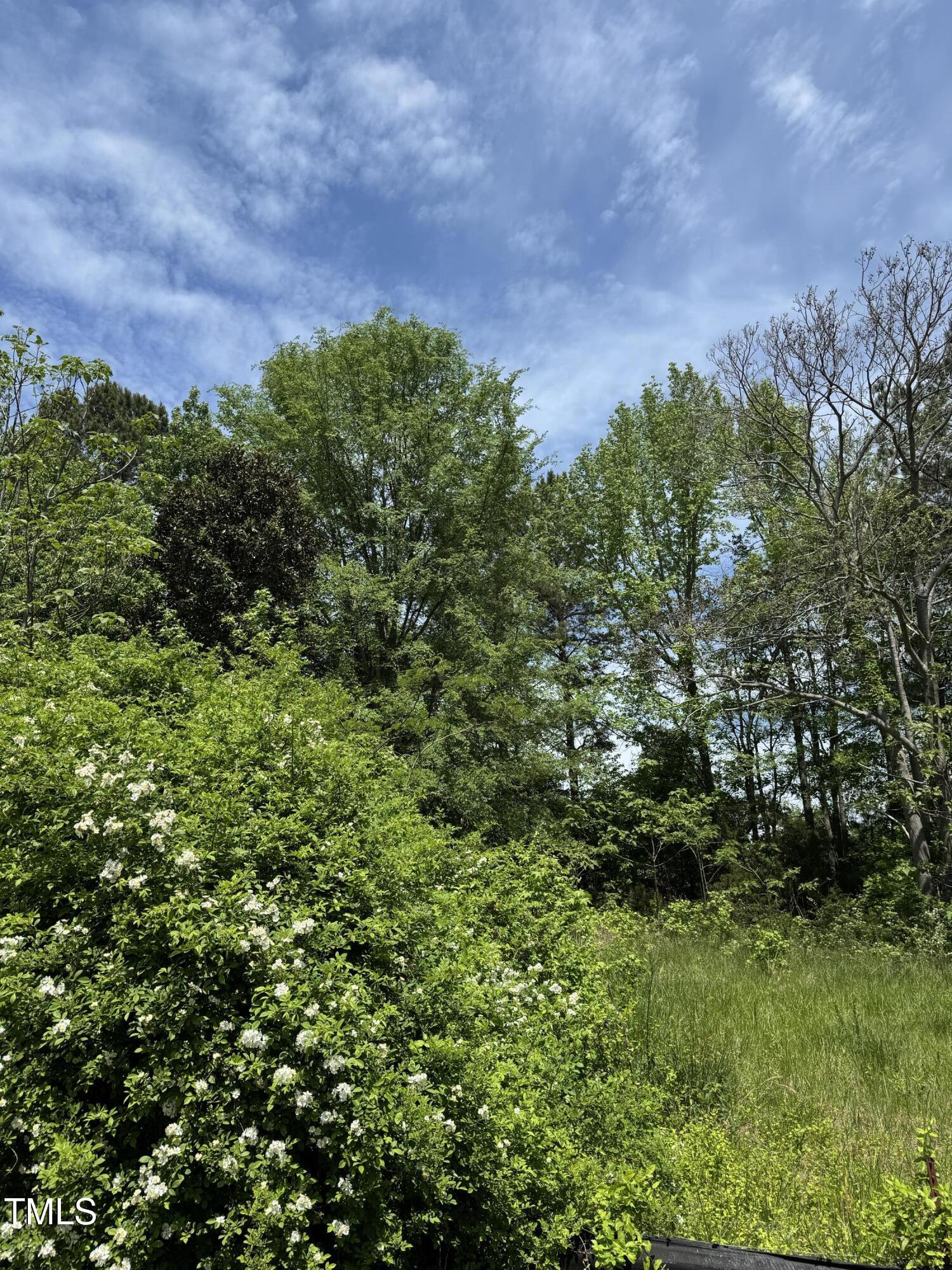 Lot 1 Hillsborough Preserve