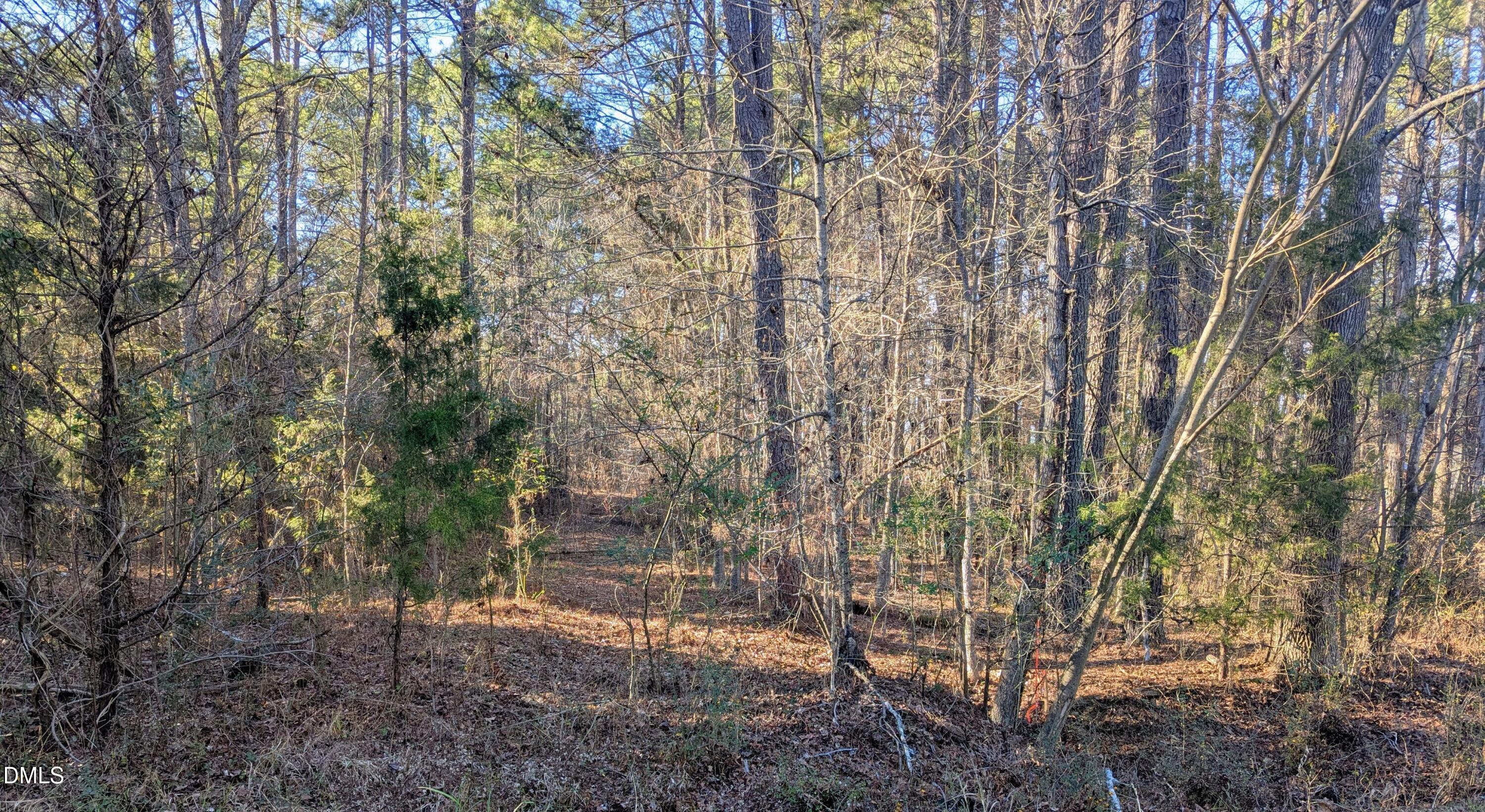 0 Shocco Springs