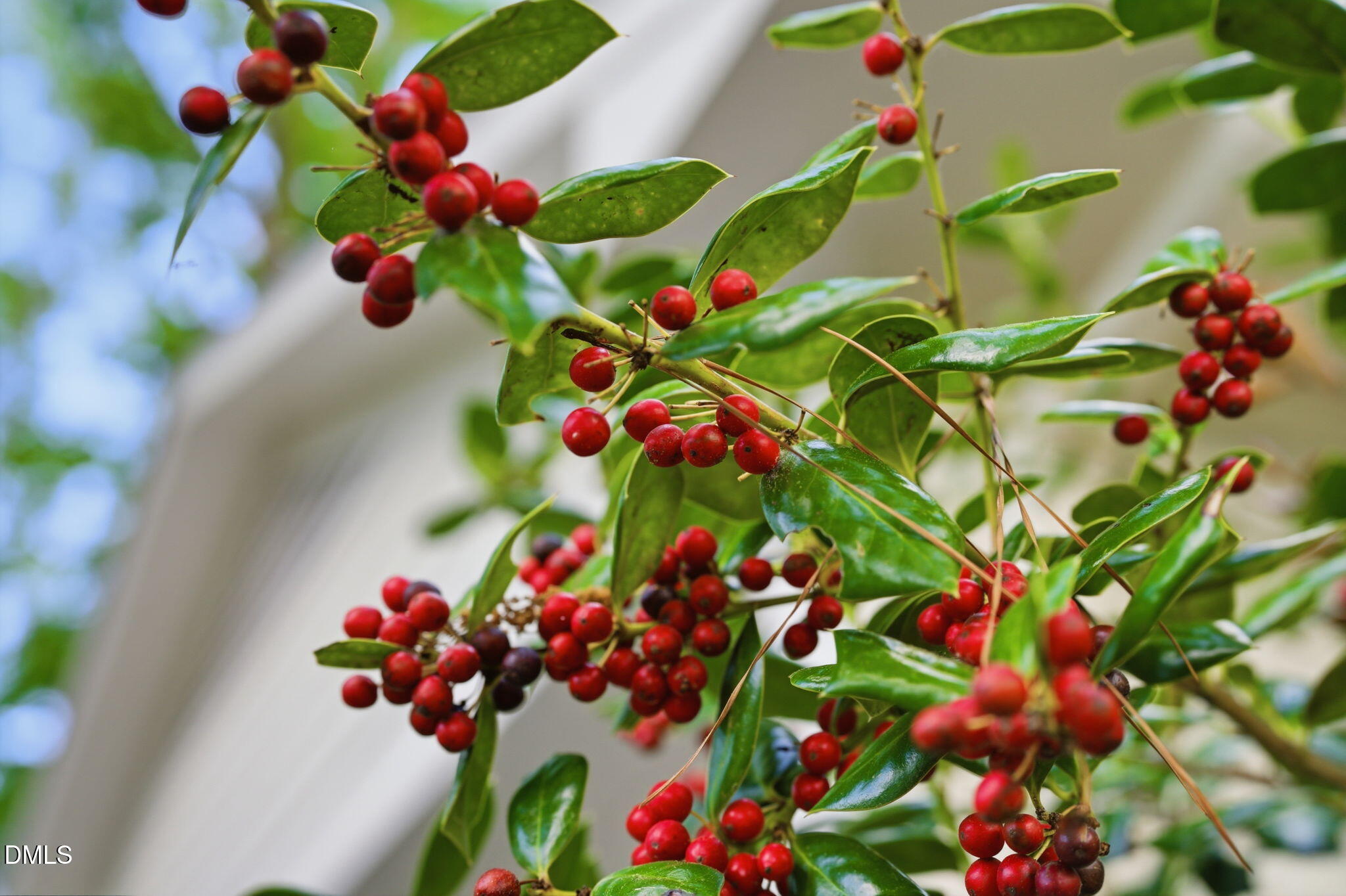 5234 N Willowhaven Drive