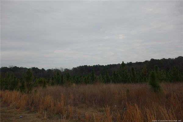 35 STUARTS MILL RD, FAIRMONT, NC 28340 - Image 7655b97df0f1e41475d4f7f2ada803be/3145235071