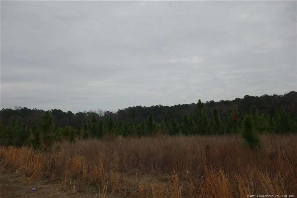 Lot 44 Stuarts Mill Road