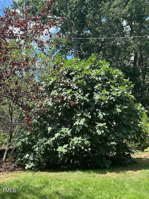 2506 Richwood Road