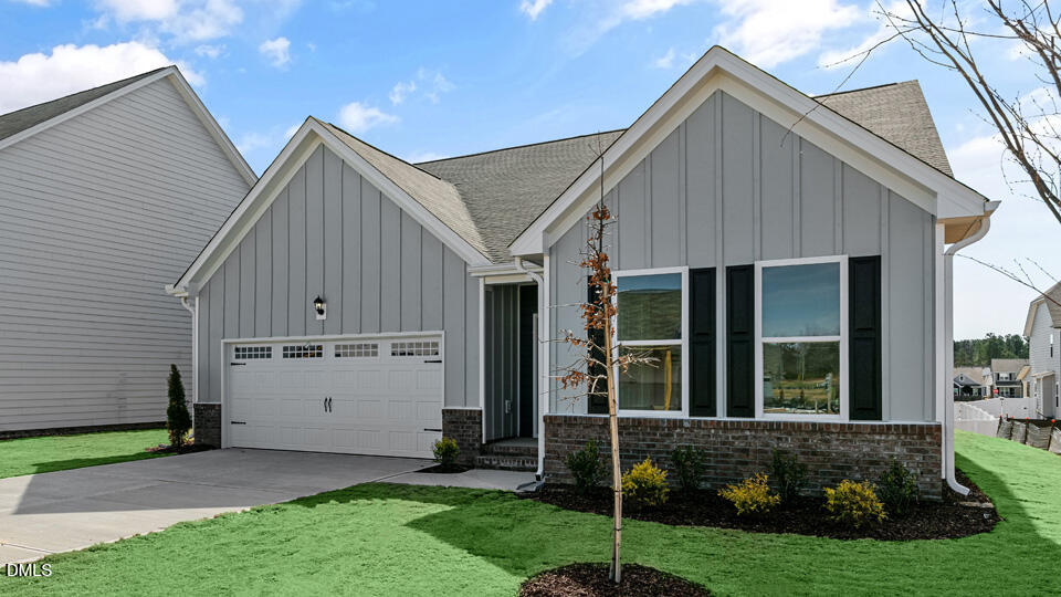568 Lemon Daisy Lane
