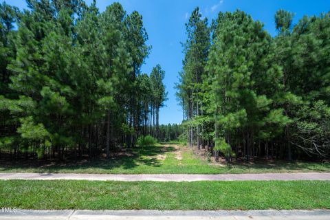 247 Larkington Drive Siler City NC 27344