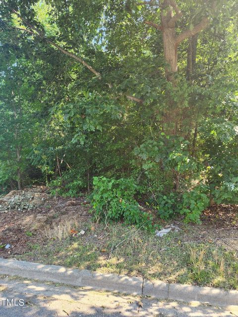 Unimproved Land in Roanoke Rapids NC 0 Stoney Brook Drive.jpg