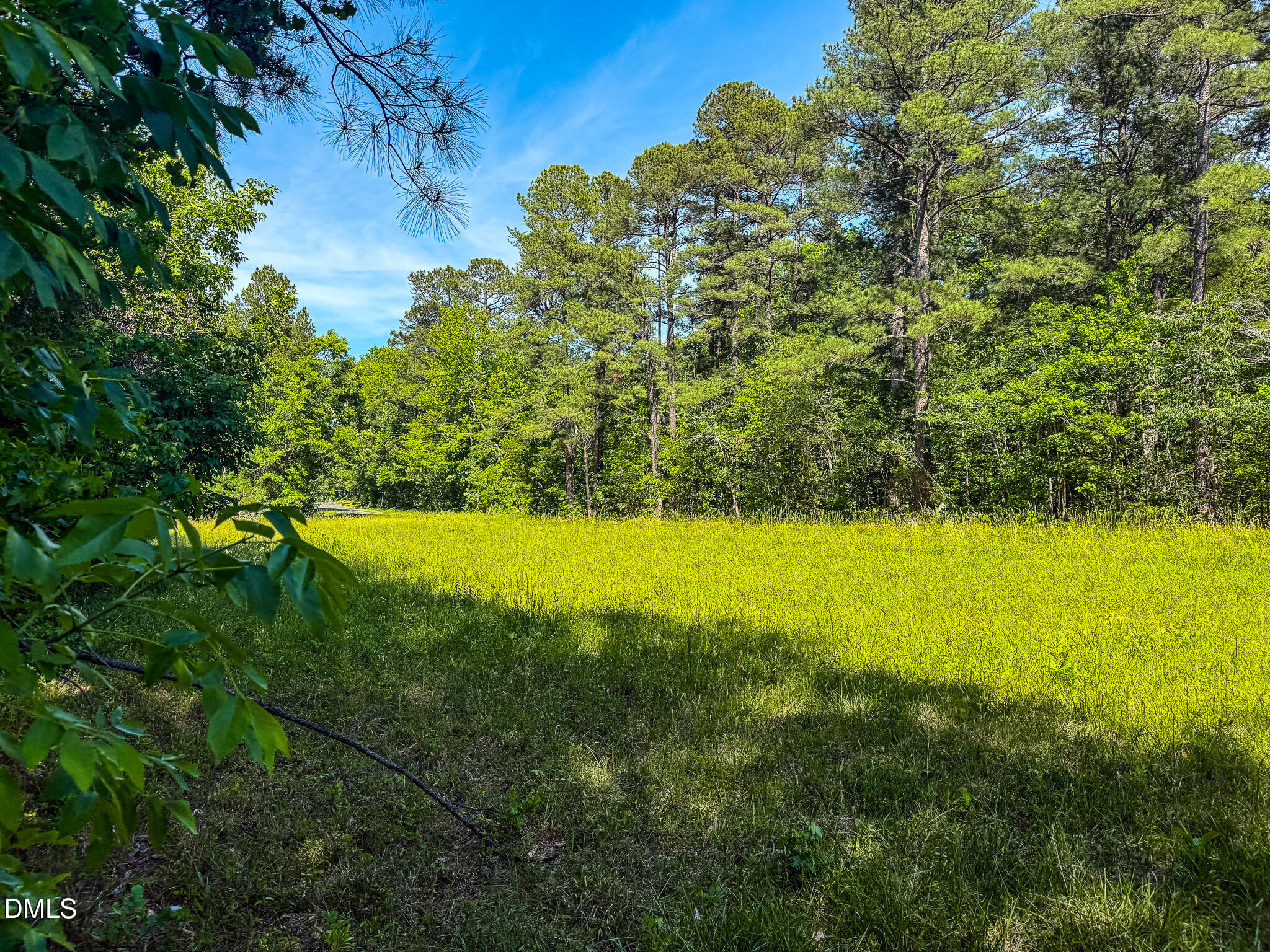 10.19 Acre Orange Grove Road