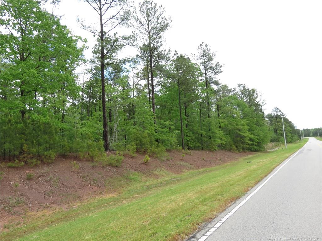 0 CLYDE RHYNE Drive