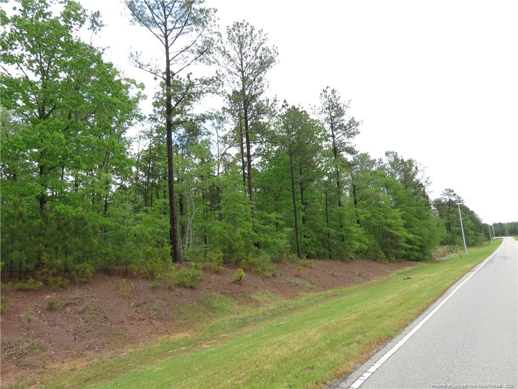 0 CLYDE RHYNE Drive