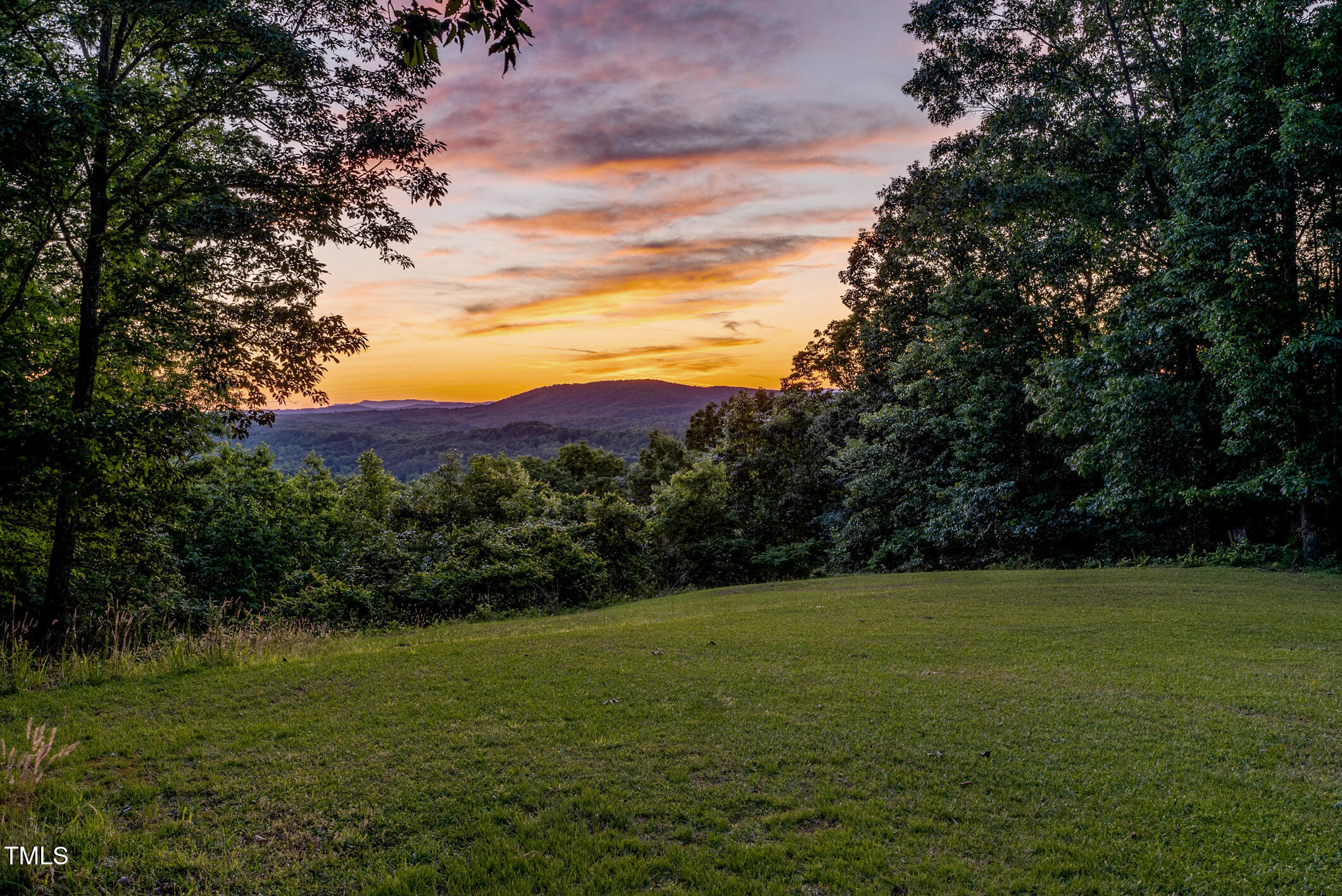 1215 Single Tree Road