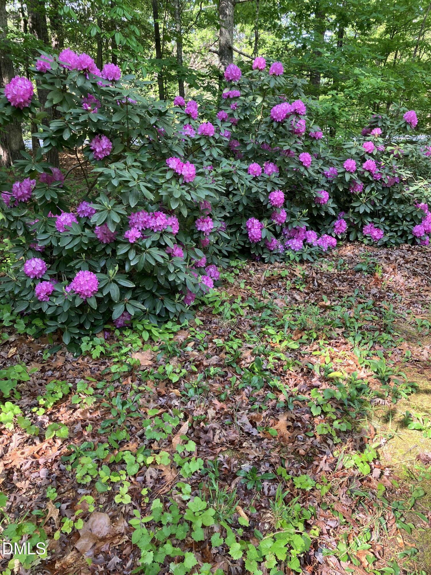 4308 Yates Mill Pond Road