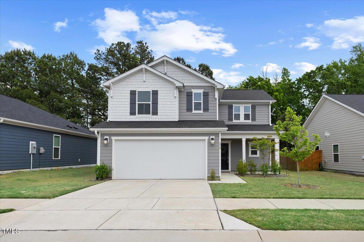 230 Purple Aster St Street