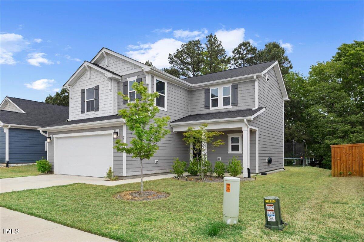 230 Purple Aster St Street