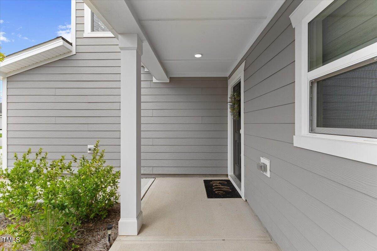 230 Purple Aster St Street