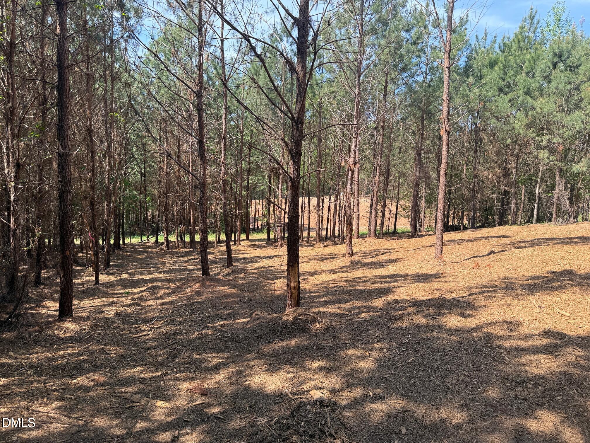 2379 Peachtree Hills Road