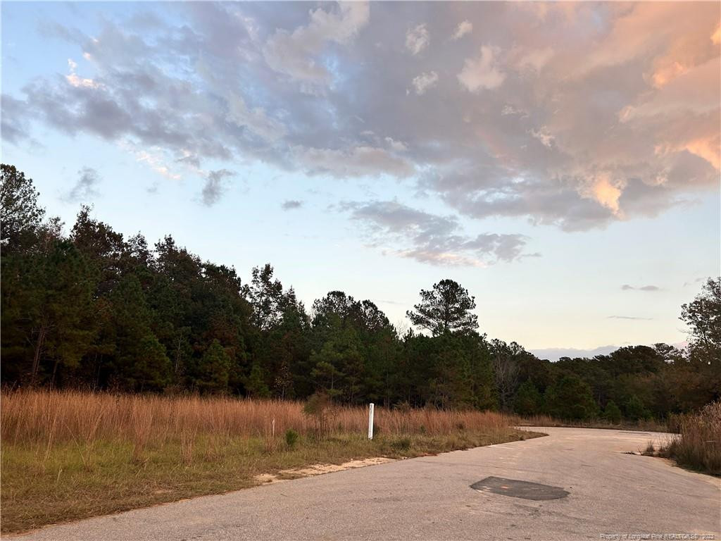 View Fayetteville, NC 28306 property