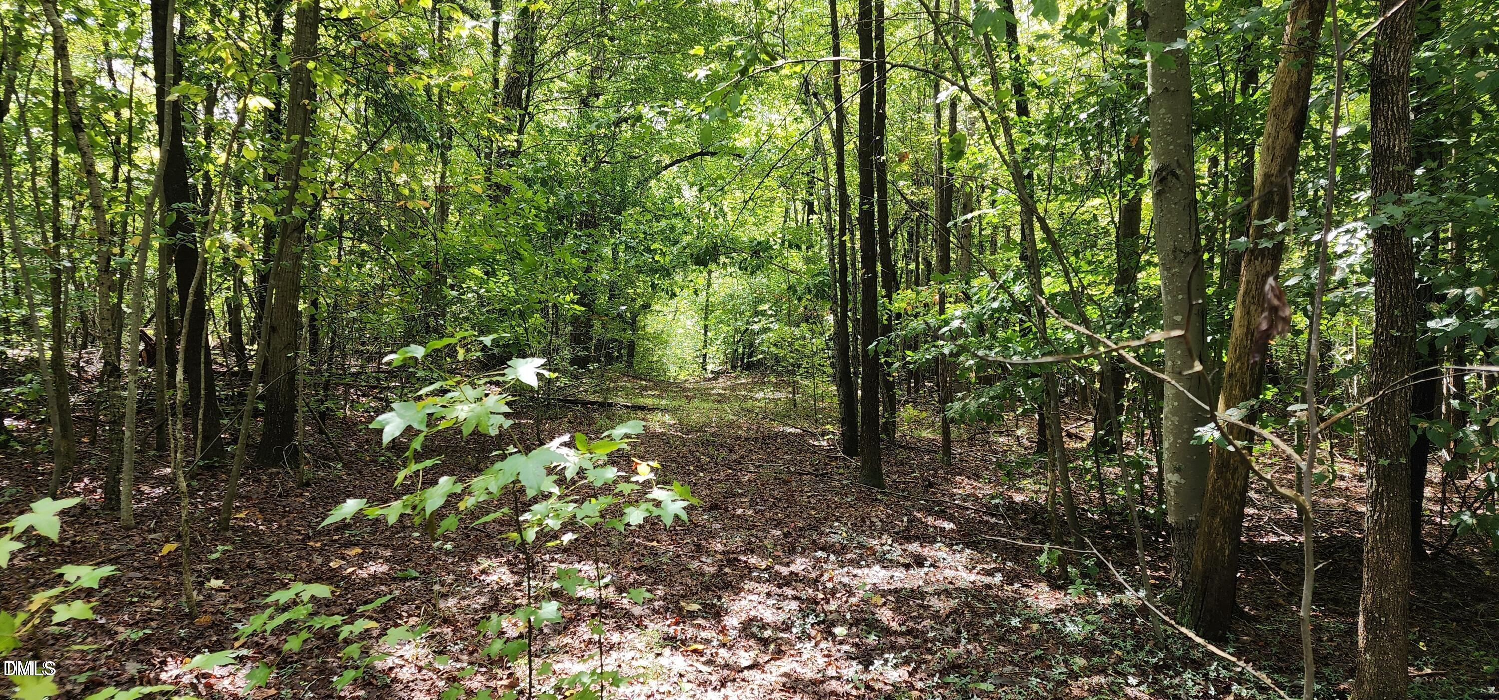 4501 Lot 1 Mill Creek Road