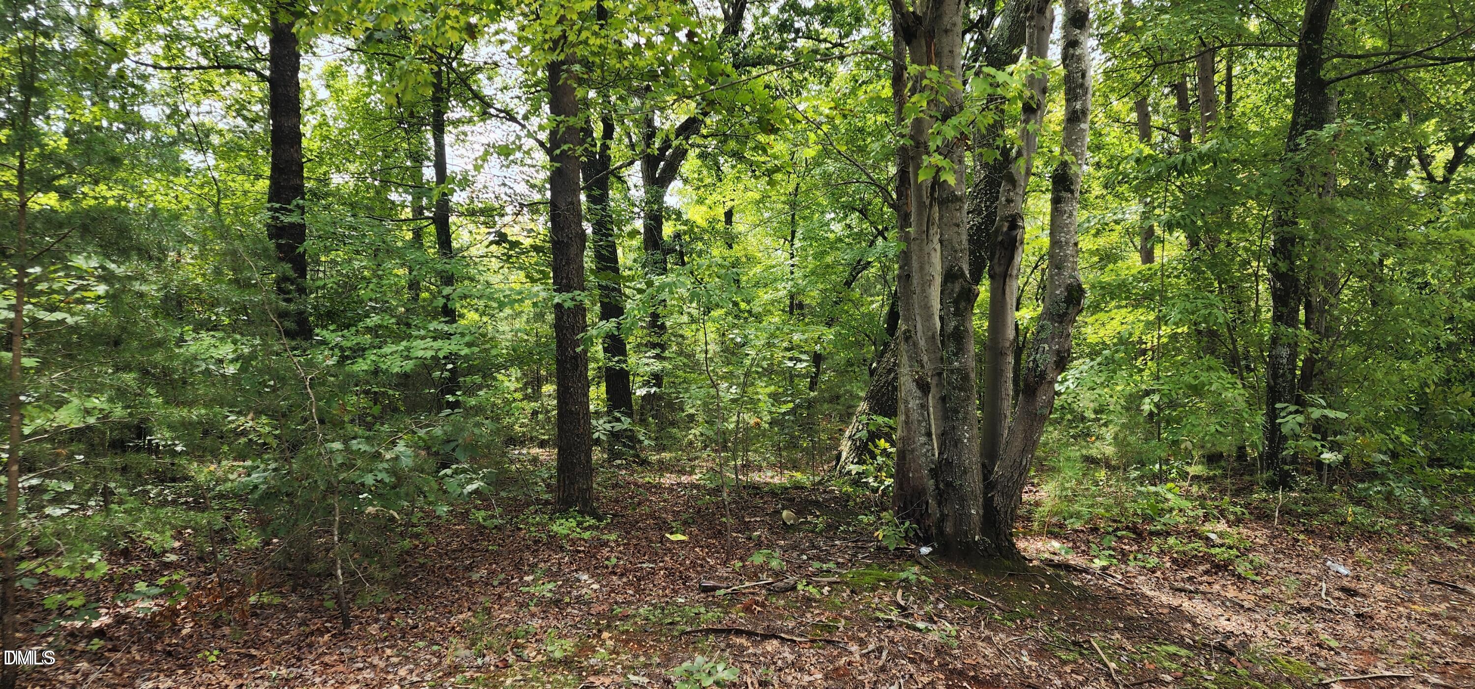 4501 Lot 1 Mill Creek Road, Cedar Grove, NC, 27231