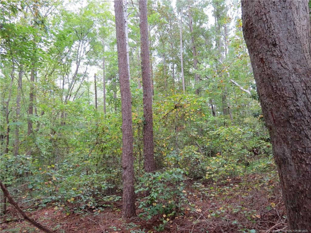 0 Lick Creek Road