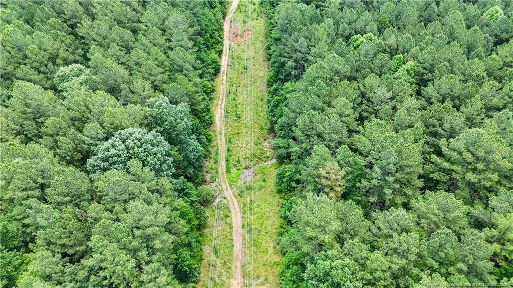 Winding Creek Drive