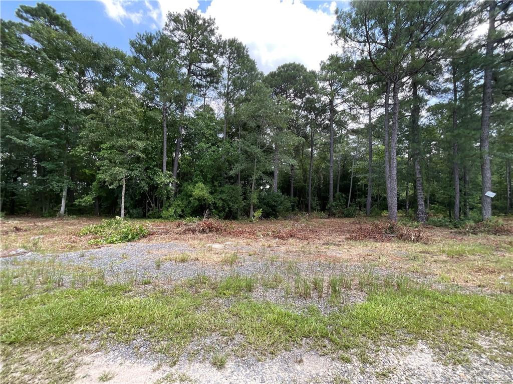 226 Clearview Court