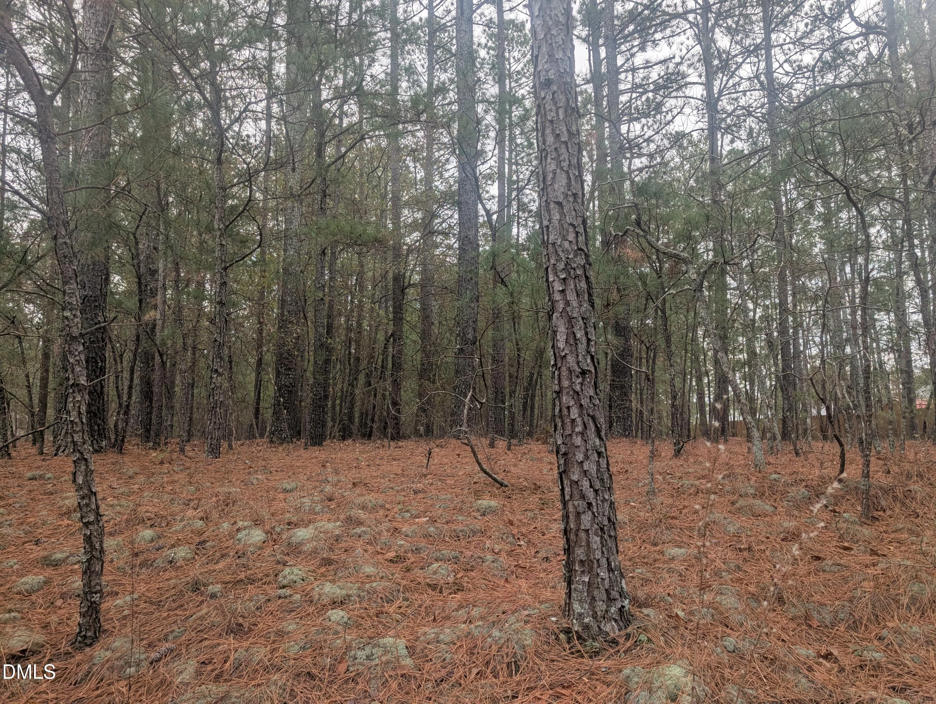13 Saw Grass Road, Eagle Springs, NC, 27242