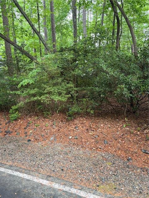 Photo of 3013 Bourbon Street, Sanford, NC 27332 (MLS # LP761618)