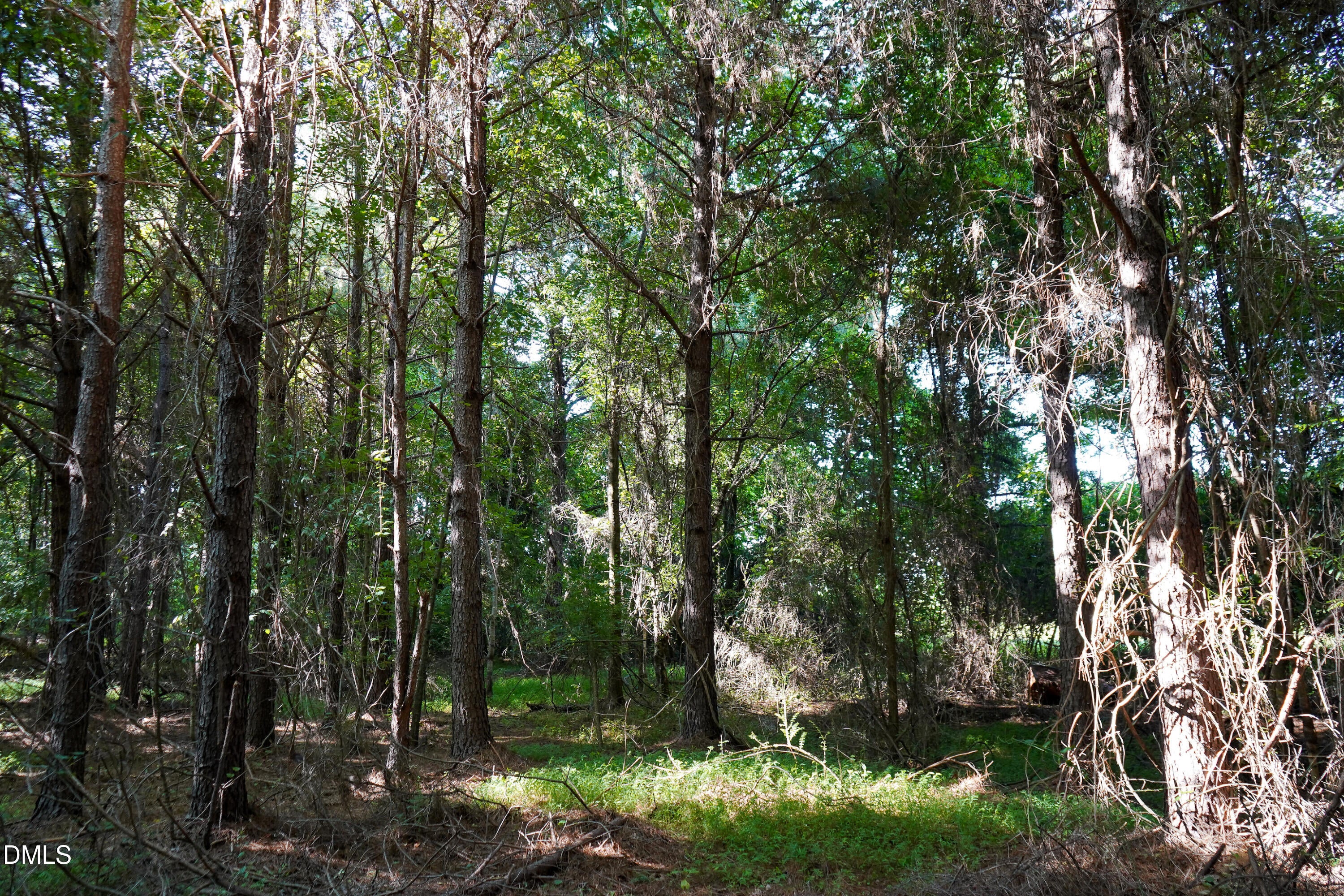 5.25 Acres Timberlake Road
