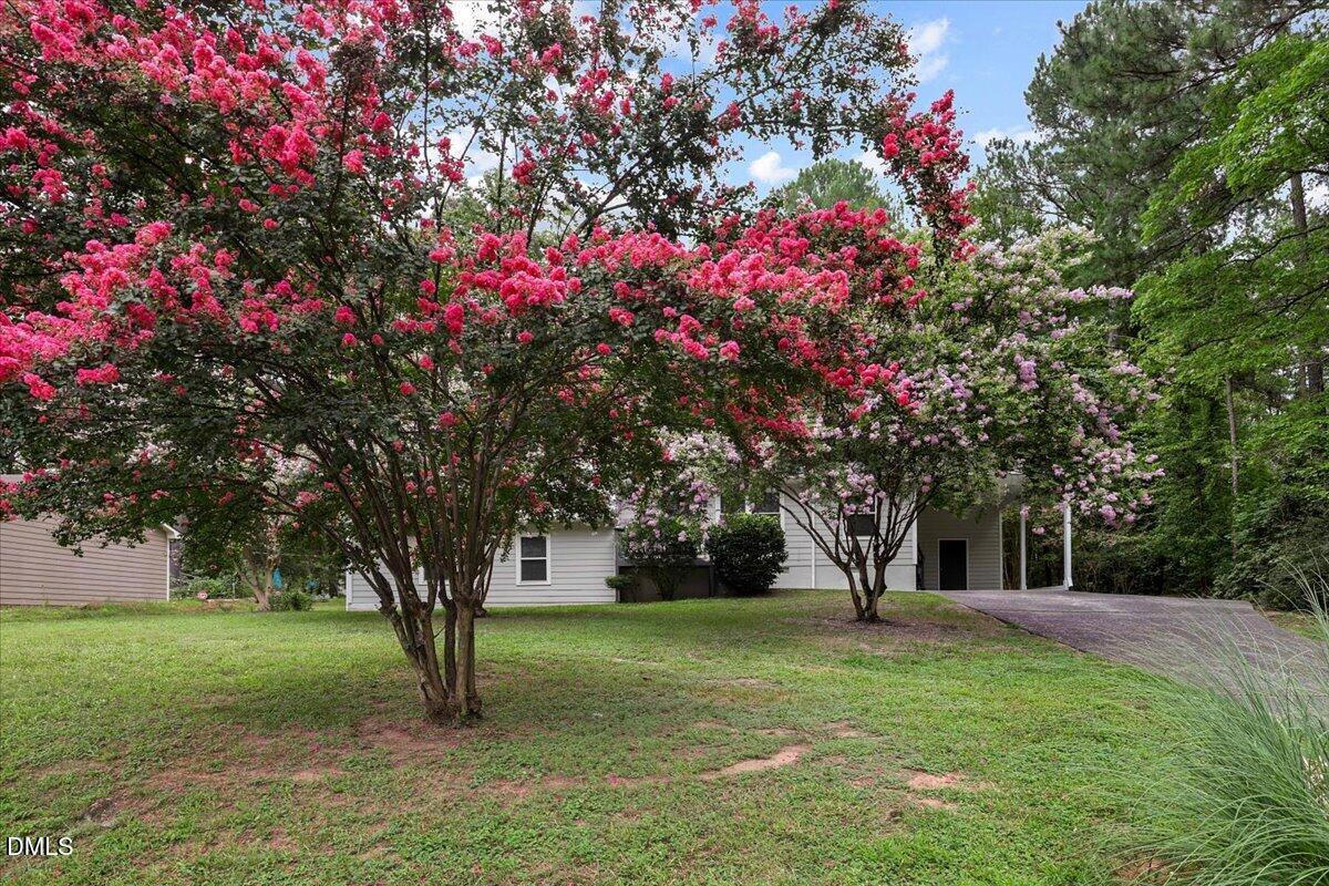 1017 Gaston Avenue