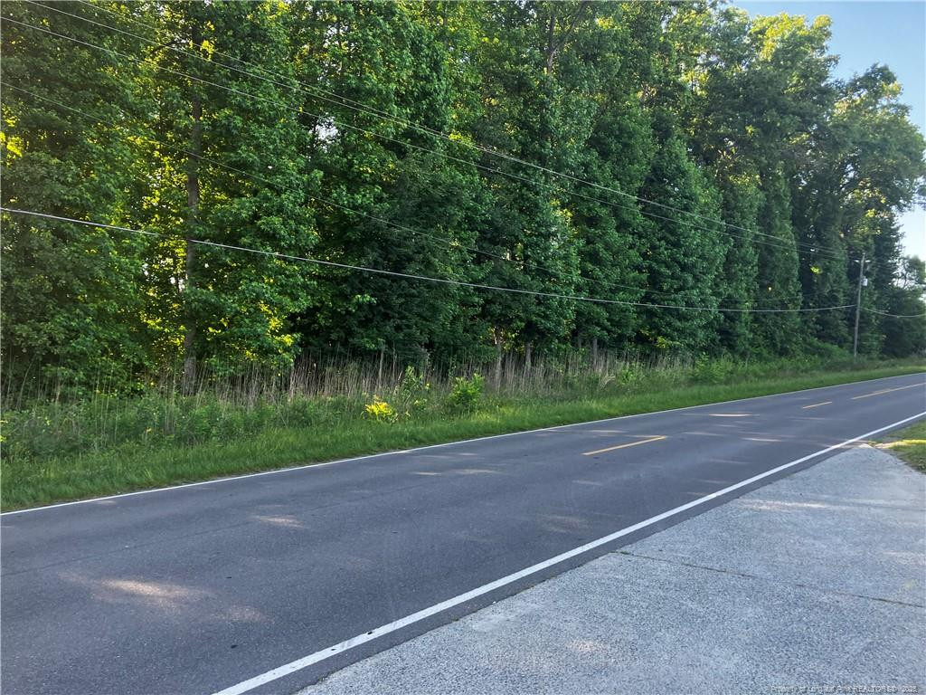 0 Lemon Springs Road