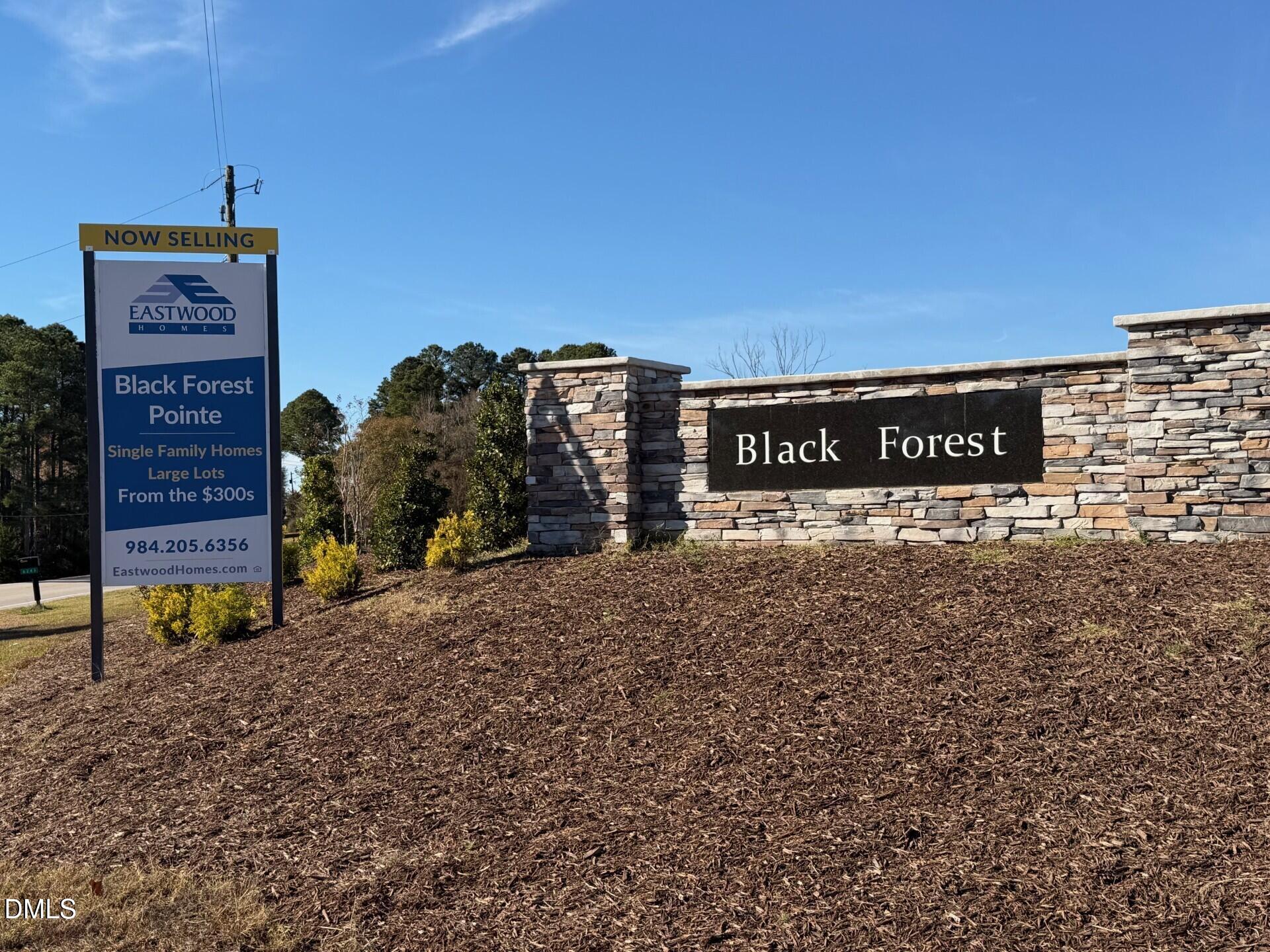 285 Black Forest Pointe Trail