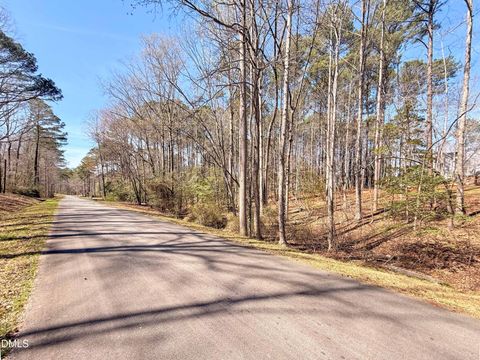 Photo of 131 Cherokee Drive, Louisburg, NC 27549 (MLS # 10168907)