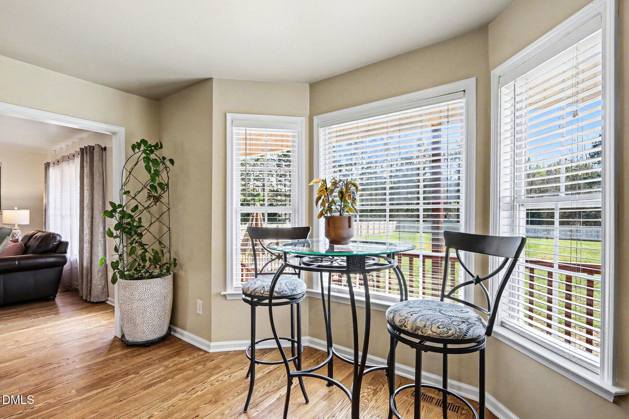 313 Blaze Ridge Drive