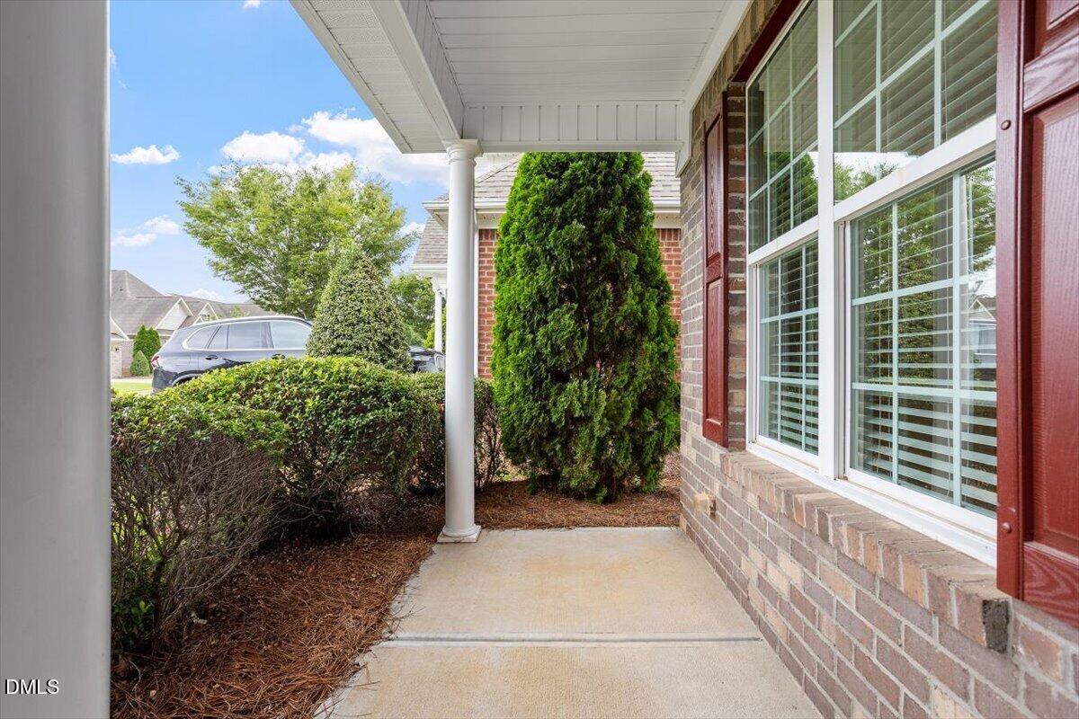 224 Shady Hollow Lane