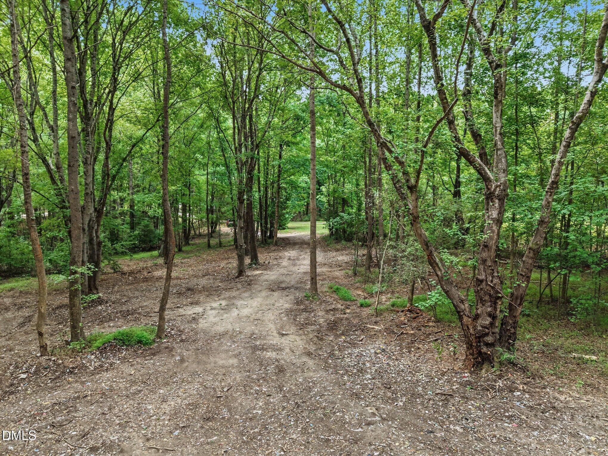 1009 Winding Creek Road