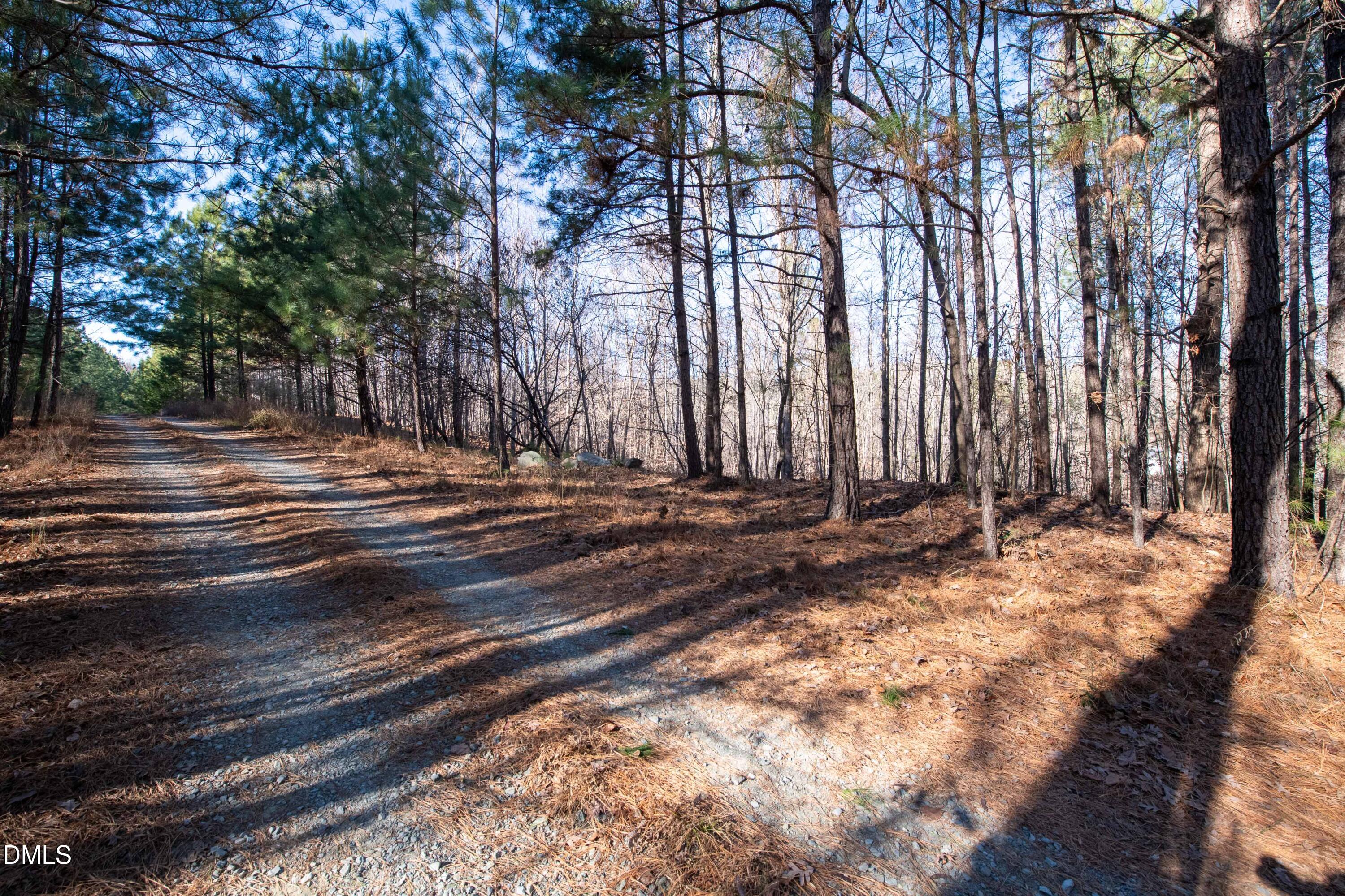 312 Bush Creek Lane