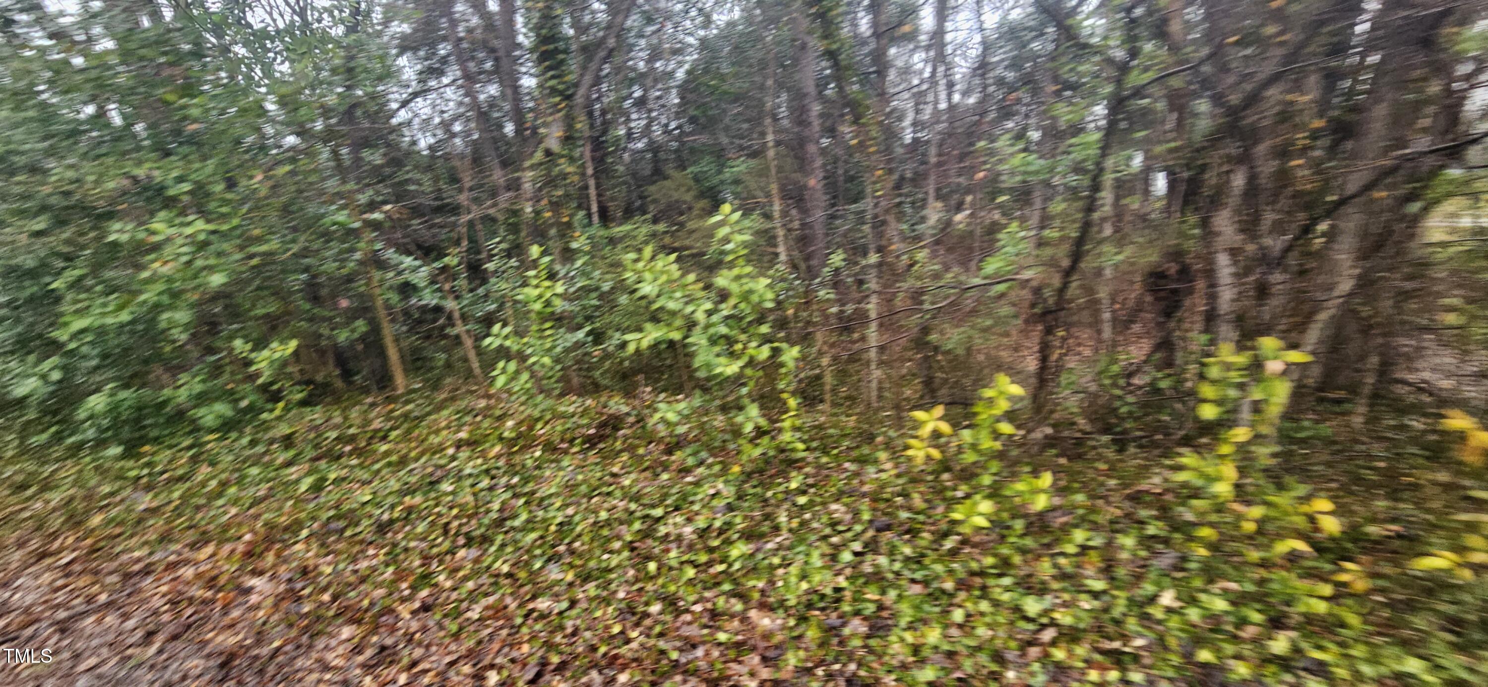 235 Madison Road