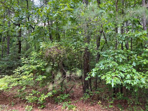 Unimproved Land in Vass NC 354 Thimbleberry Drive.jpg