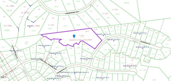 210 ALNWICK CT, CLAYTON, NC 27527 - Image 8255c48a8eabb974c50d2c5fcfc2af8e/3509440247