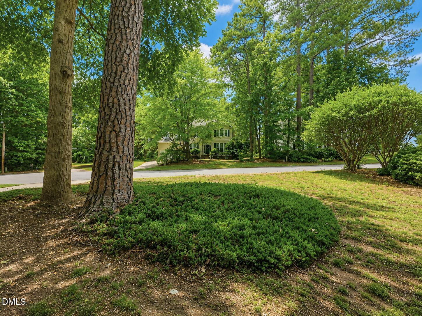 1003 Inglenook Place