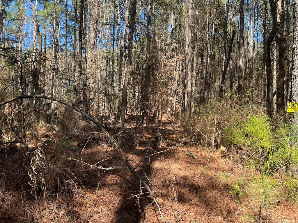 0 Tempting Church Road