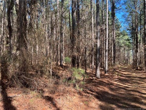 0 Tempting Church Road Sanford NC 27330