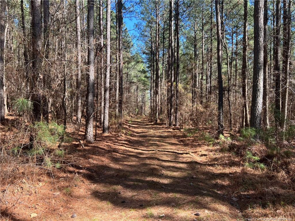 0 Tempting Church Road