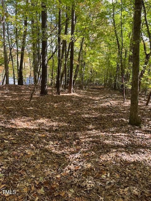 234 Hillcrest Lane Clayton NC 27520