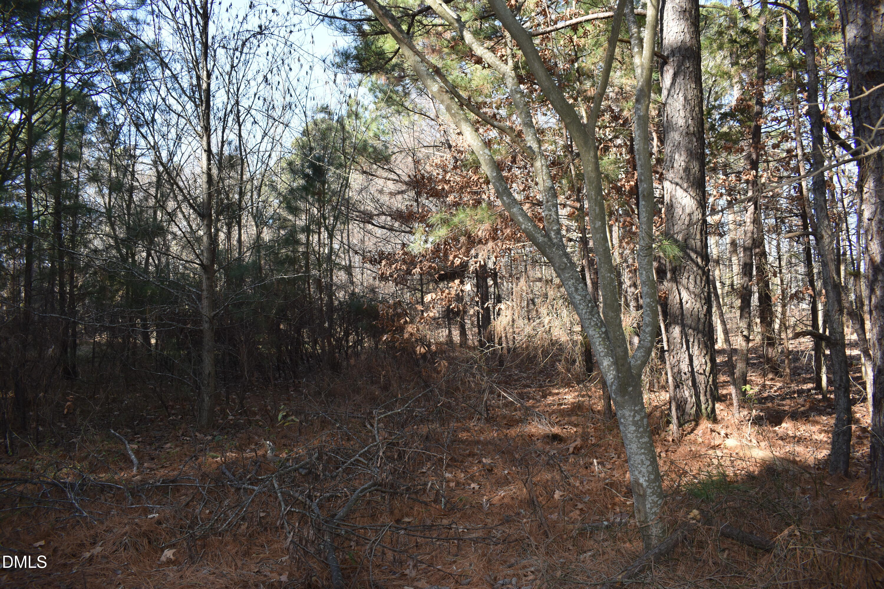 806 Carpenter Fletcher Road