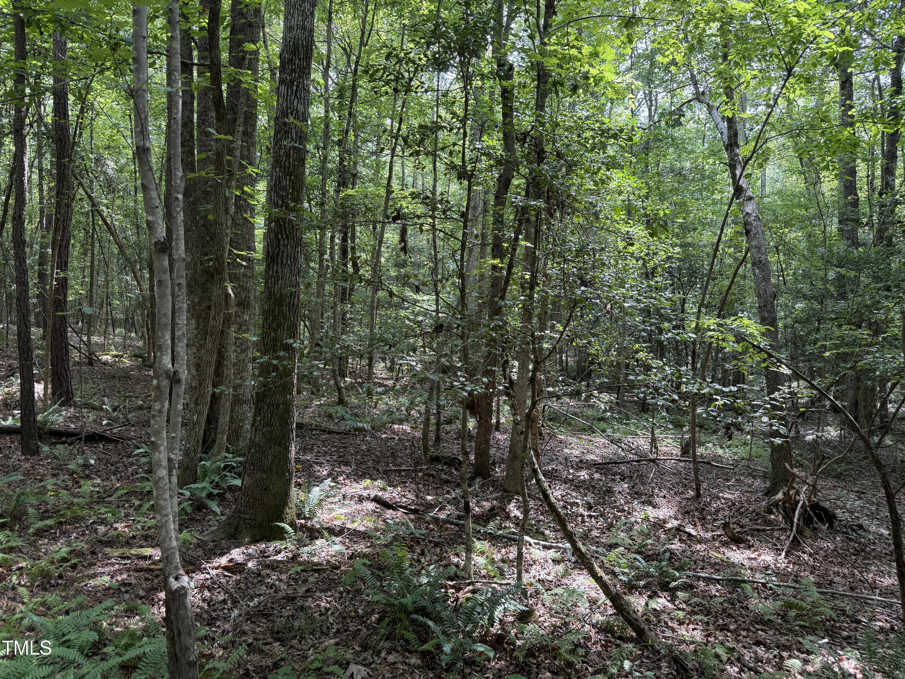 3848 Furrow Lane