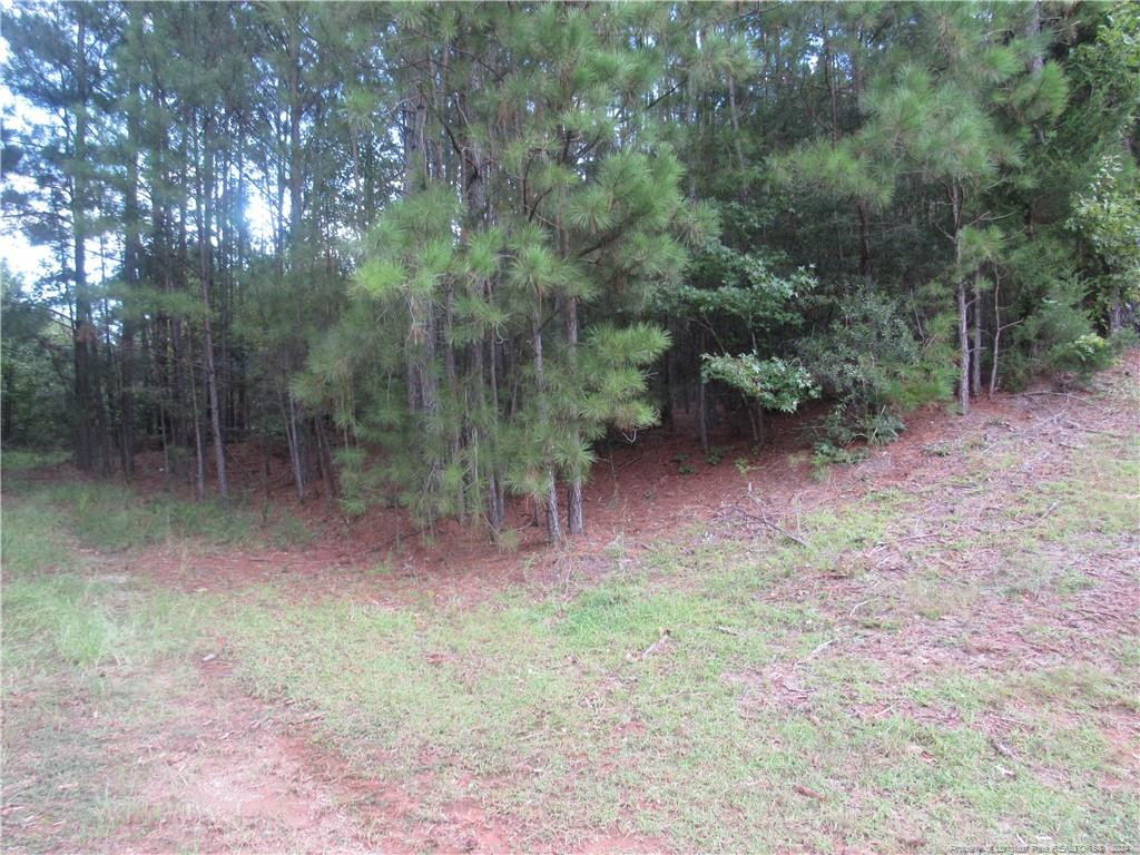 0 Boone Trail Road