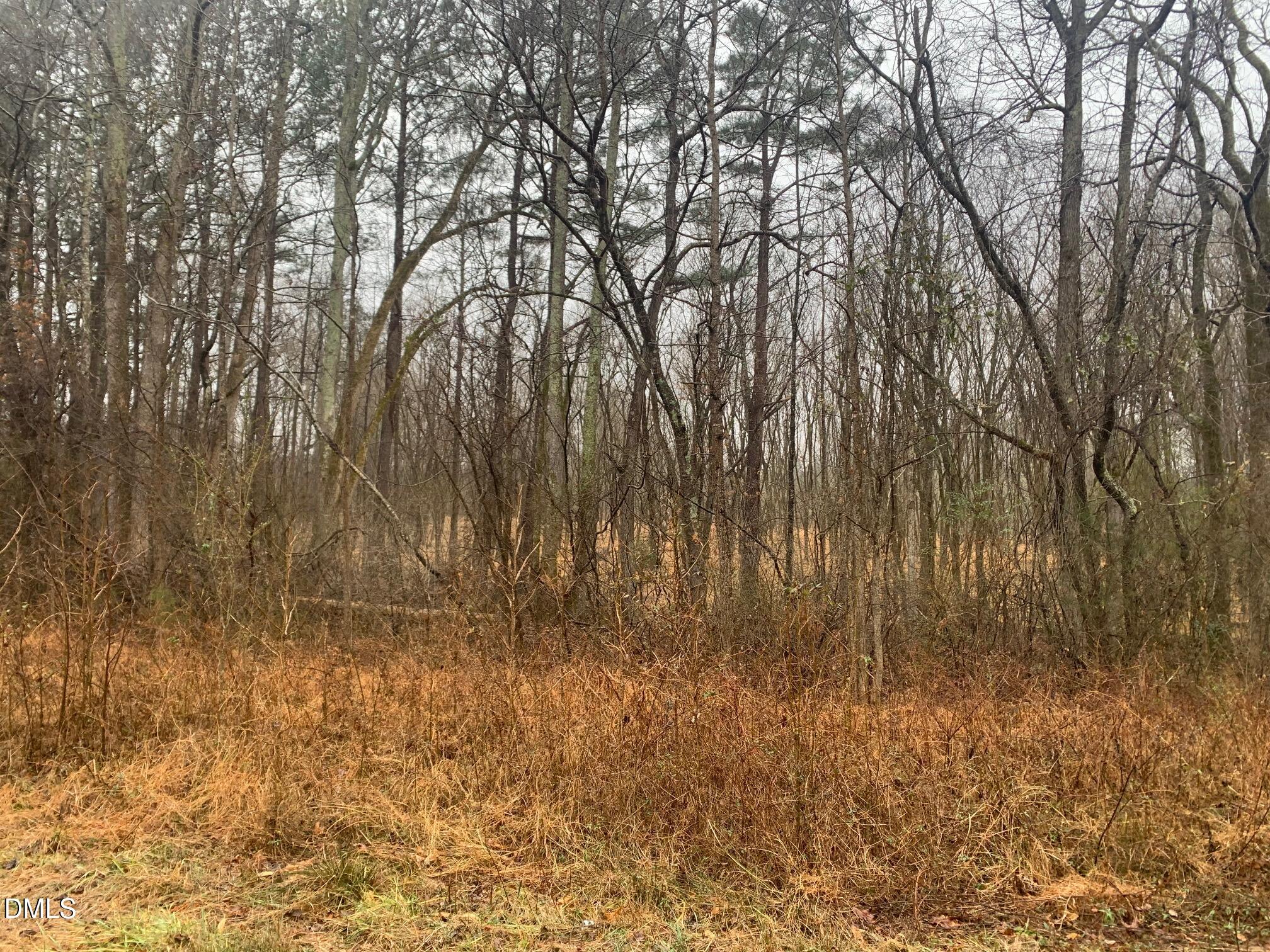 0 Rives Chapel Church Road