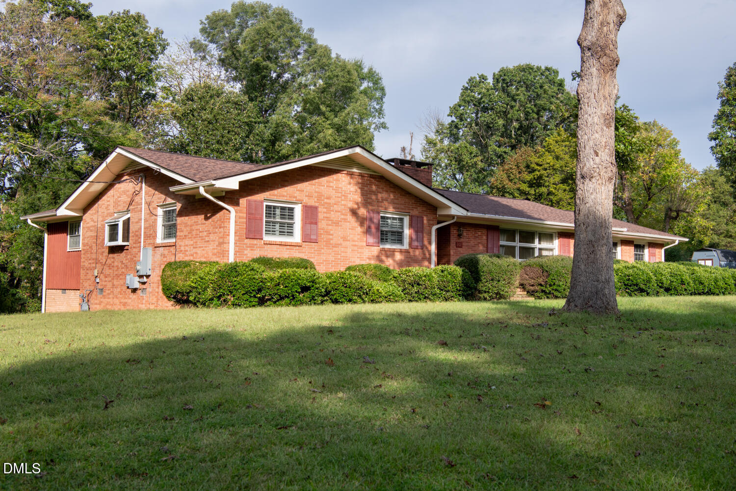 207 Forest Drive