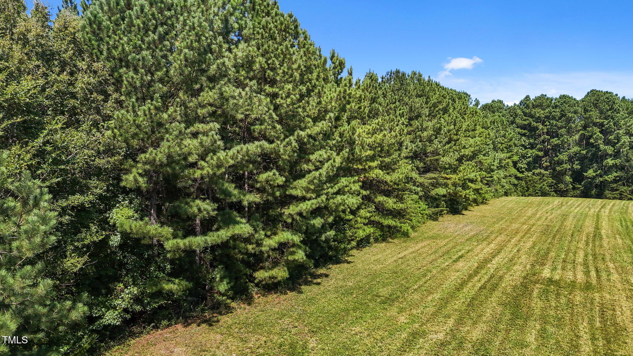476 Pete Thomas Road